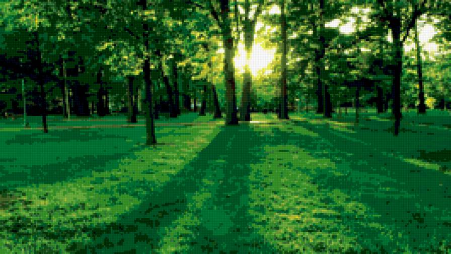 Тишина - природа, лето. деревья - предпросмотр