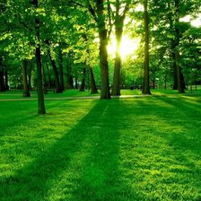 Схема вышивки «Тишина»