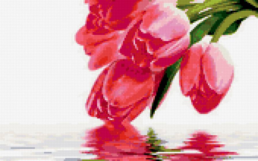 отражение - предпросмотр