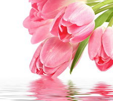 Схема вышивки «отражение»