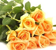 Схема вышивки «желтые розы»