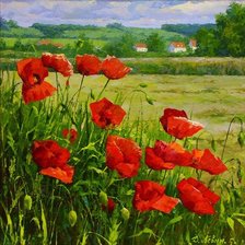 Схема вышивки «Маковое поле»