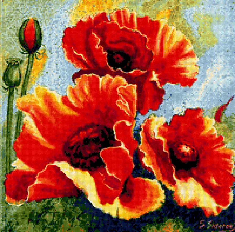 Маки - флора.маки.подушка, природа, цветы, букет - предпросмотр