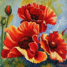 Схема вышивки «Маки»