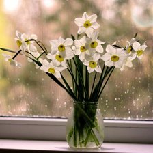 Схема вышивки «букет нарцысов»