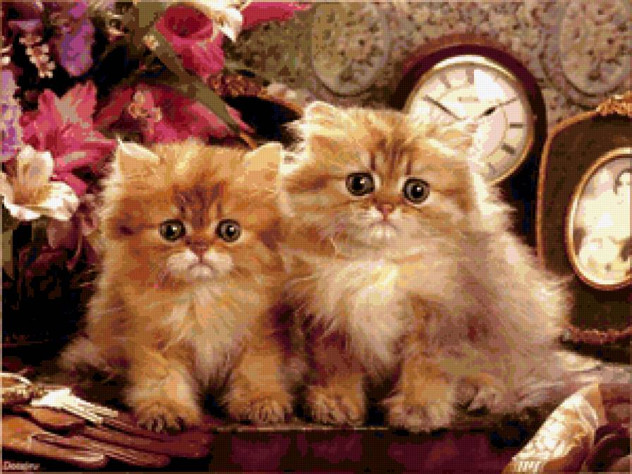 Милашки - кот - предпросмотр