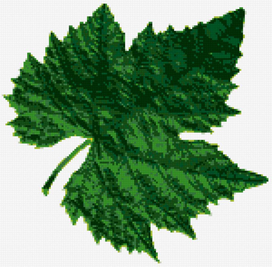 виноградный лист - лист, вино, винолист - предпросмотр