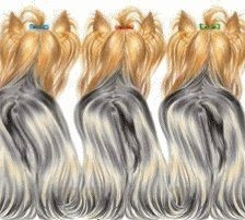 Схема вышивки «№326083»