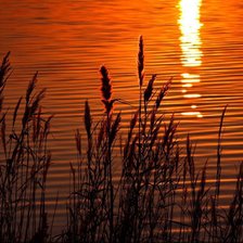 Схема вышивки «№326111»