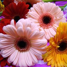 Схема вышивки «цветы»