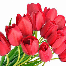 Схема вышивки «№326212»