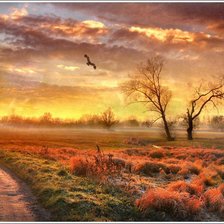 Схема вышивки «Как красивы бывают закаты.»