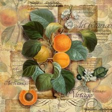 Схема вышивки «Абрикос»