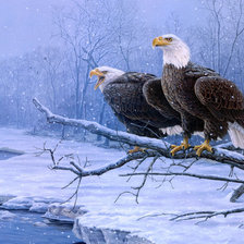 Схема вышивки «№326287»