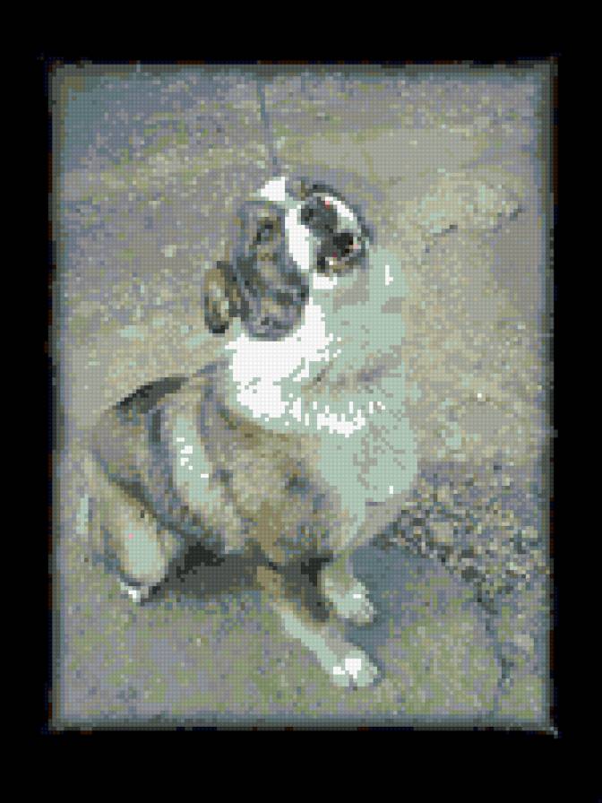 барон - предпросмотр