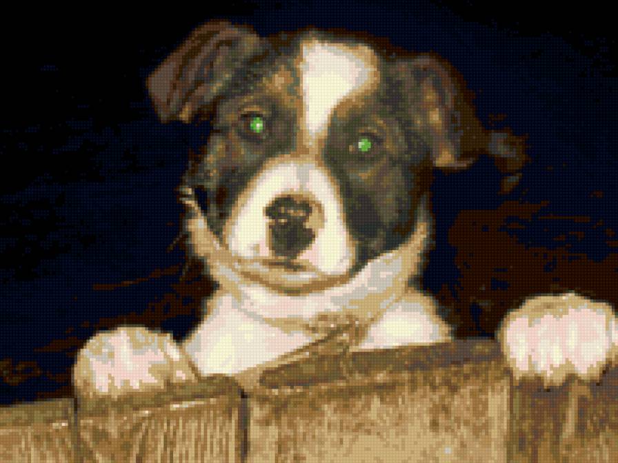 барон 1 - предпросмотр