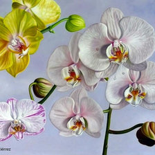 Схема вышивки «орхидеия»