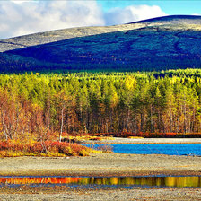 родной край 4