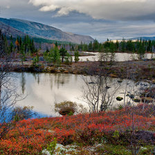 Схема вышивки «родной край 6»