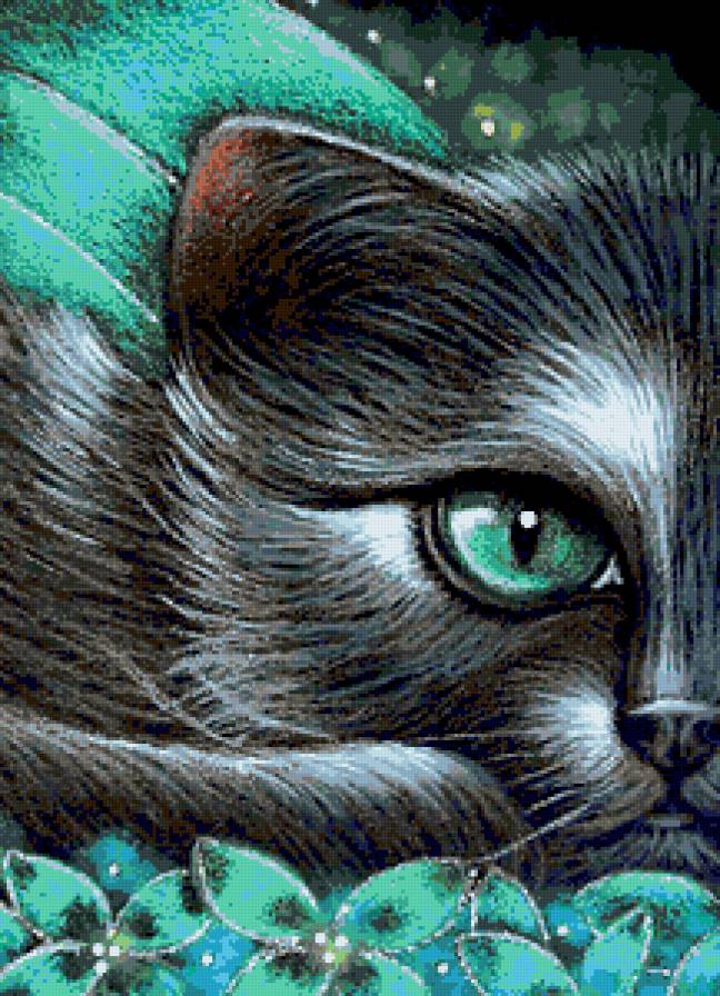 взгля - кошки - предпросмотр