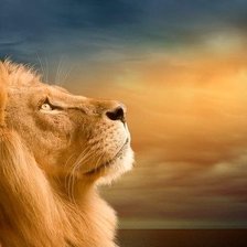 Схема вышивки «лев»