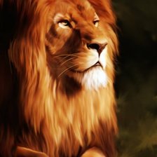 Схема вышивки «лев»