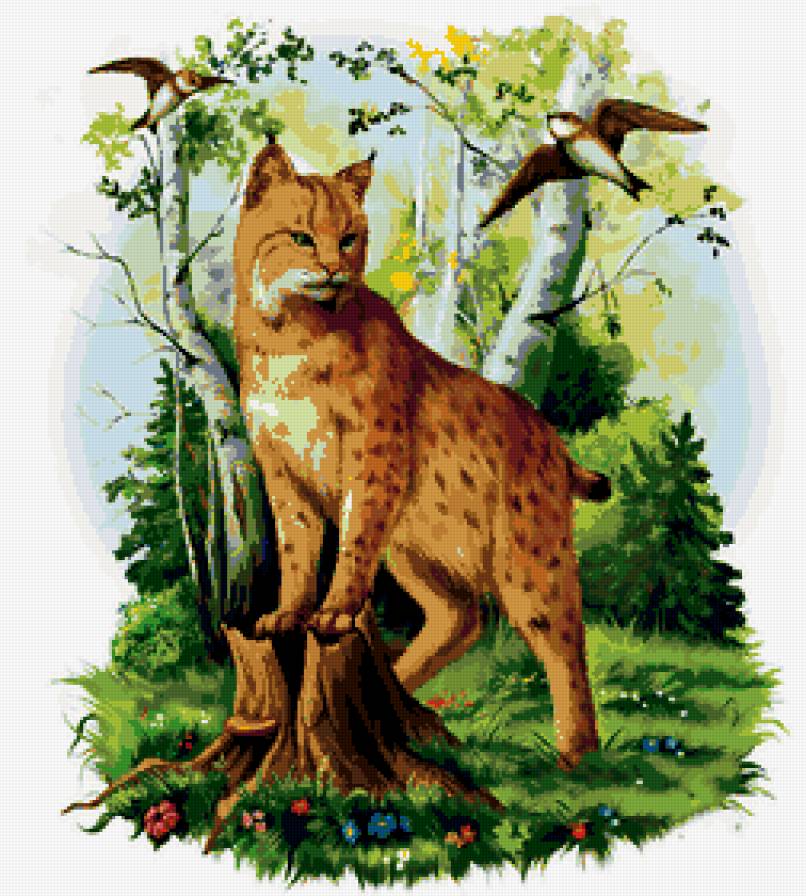 рысь - лес, природа, животные, кошки - предпросмотр