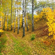 Схема вышивки «осень 1»