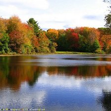 Схема вышивки «осень 5»