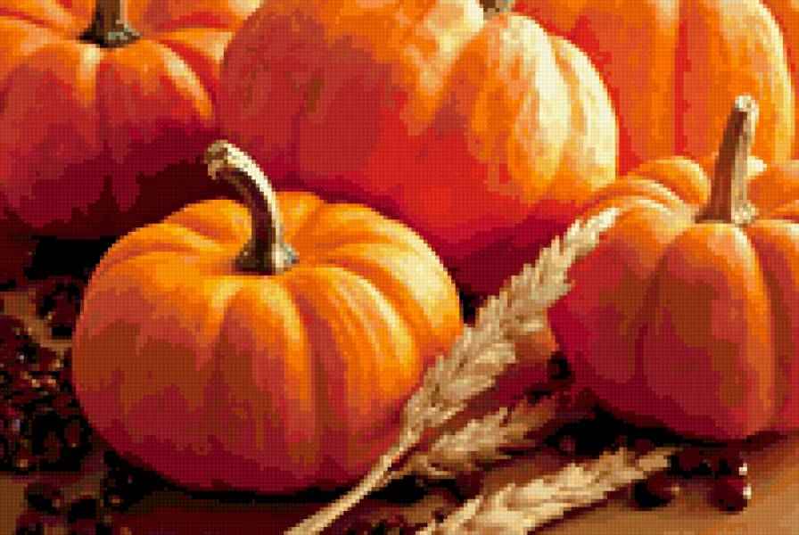 тыквы - тыквы - предпросмотр