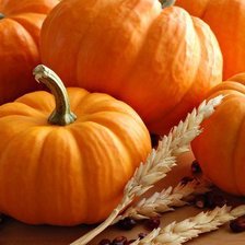 Схема вышивки «тыквы»