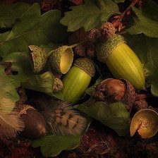 Схема вышивки «желуди»