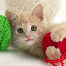 Схема вышивки «Котенок»