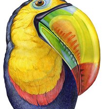 Схема вышивки «птица»