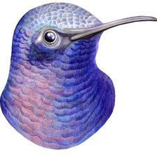 Схема вышивки «птица»