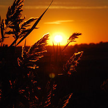 Схема вышивки «Закат»