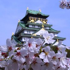 Схема вышивки «Сакура»