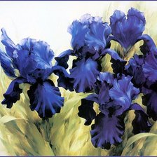 Схема вышивки «Ирисы»