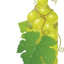 Схема вышивки «бутылочка»