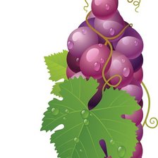 Схема вышивки «бутылочка»