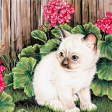 Схема вышивки «кошки»