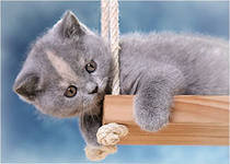 Схема вышивки «кошки»