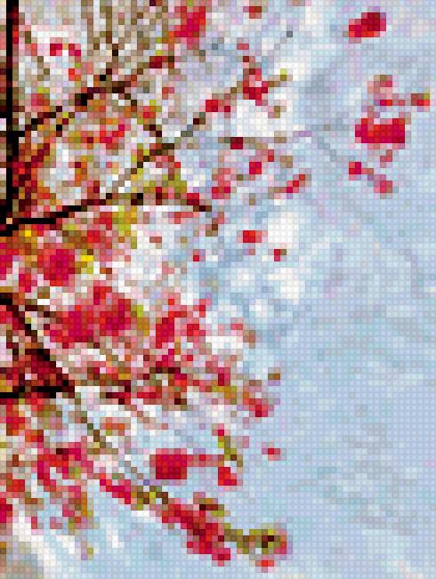 Сакура - веточки, сакура - предпросмотр