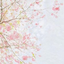 Схема вышивки «Сакура»