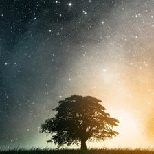 Схема вышивки «Лесное дерево»