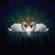 Схема вышивки «лебеди»