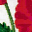 Предпросмотр схемы вышивки «маки» (№327147)