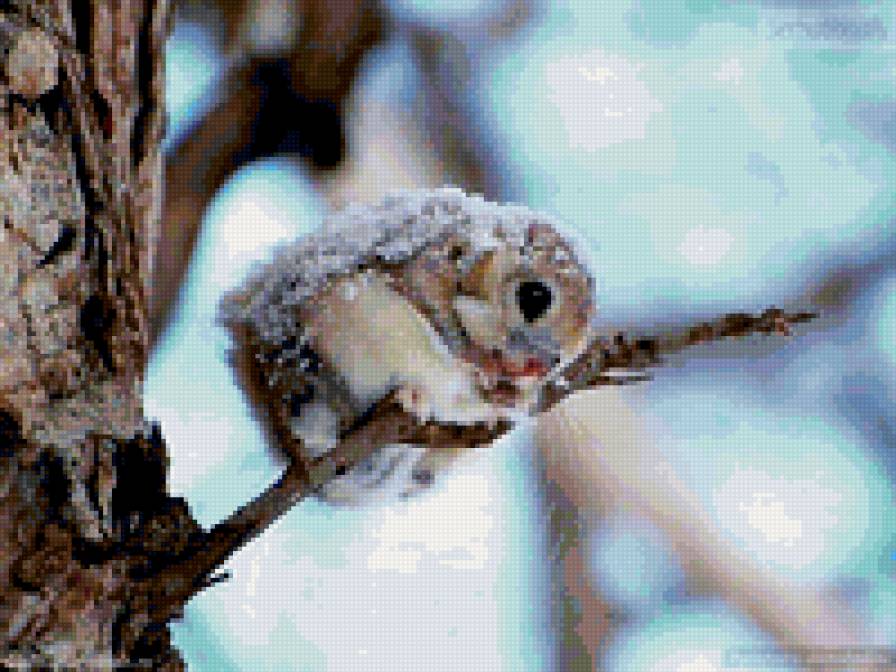 Суровая зима - зима, бельчонок, дерево - предпросмотр