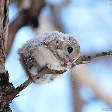 Схема вышивки «Суровая зима»