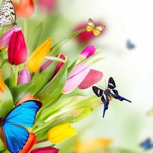 Схема вышивки «Весеннее настроение»